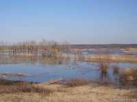 Весенний разлив на Северском Донце