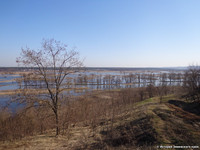 Весенний разлив на Северском Донце